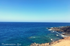 Caleta de Fuste Bildgalerie