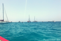 Fuerteventura-Love-10-4