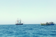 Fuerteventura-Love-14-3