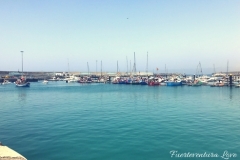 Fuerteventura-Love-3-10