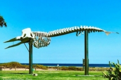 Fuerteventura-Love-12
