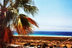 Fuerteventura-Love-2-1