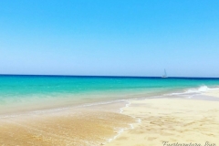 Fuerteventura-Love-3-1