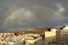 Fuerteventura-Love-9